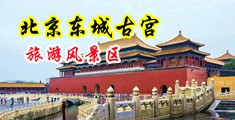 快点插我干我操我逼逼视频中国北京-东城古宫旅游风景区